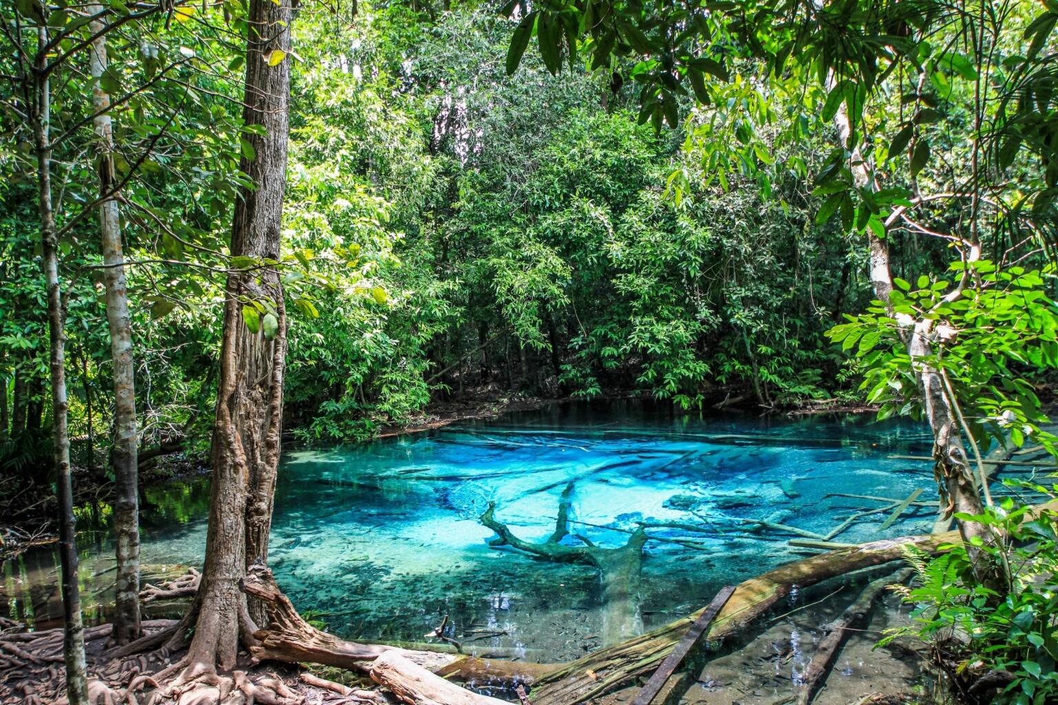 Khao Phanom Bencha National Park