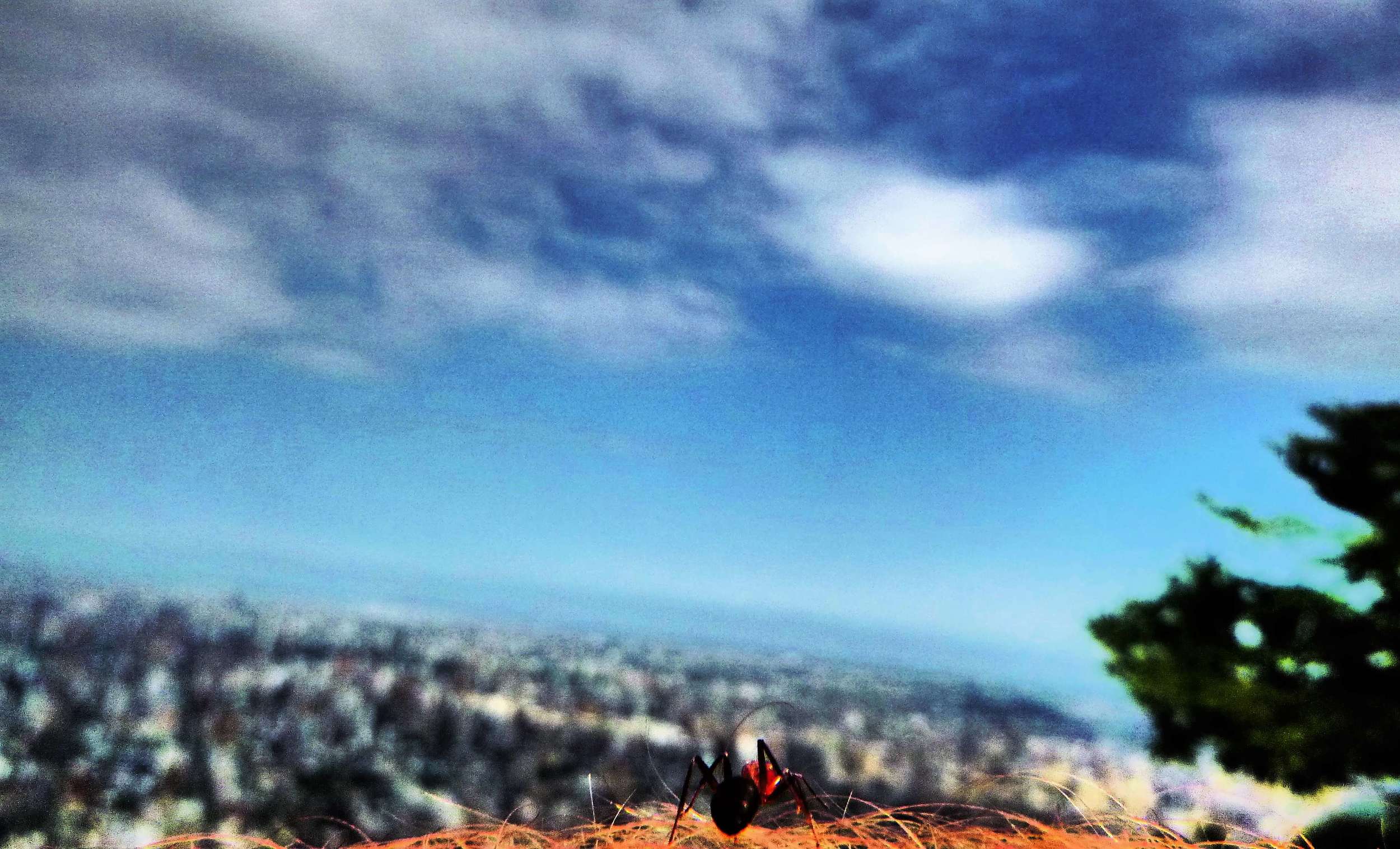 A little guy off on his own adventure travel journey