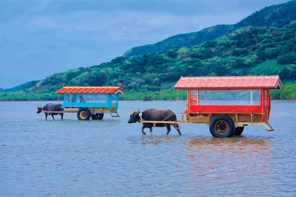 Iriomote Island