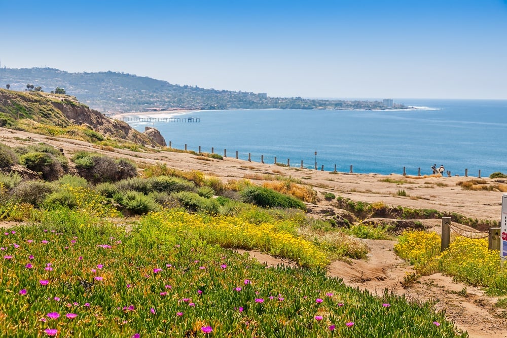 Torrey Pines Gliderport