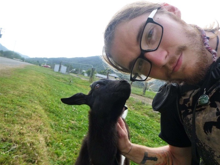 Walking in New Zealand meeting the wildlife