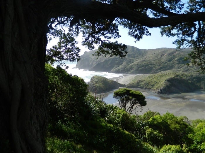 The southern West Coast completes the West Coast entry on the South Island itinerary