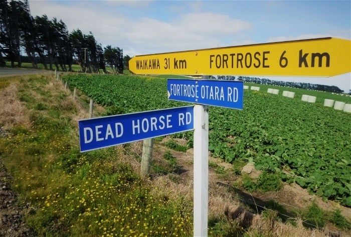 Random funny street sign found while backpacking New Zealnd's south