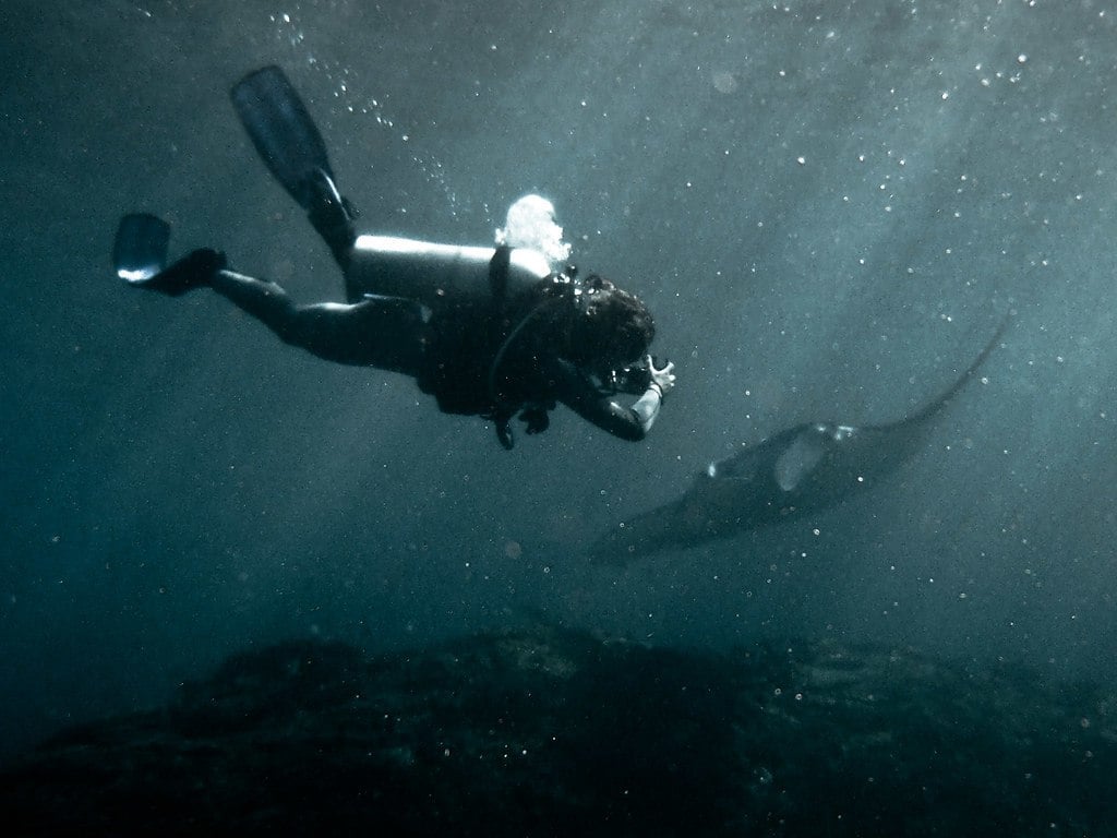 Woman photographing ray while scuba diving the Cathedral dive site in Mauritius