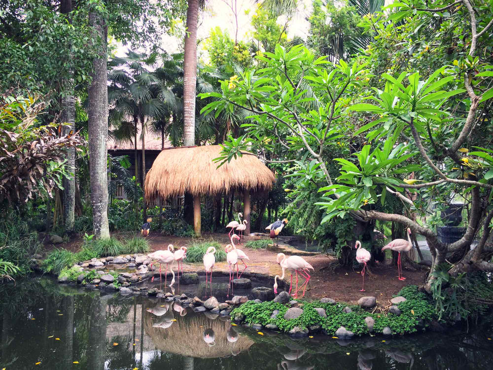Busch Gardens