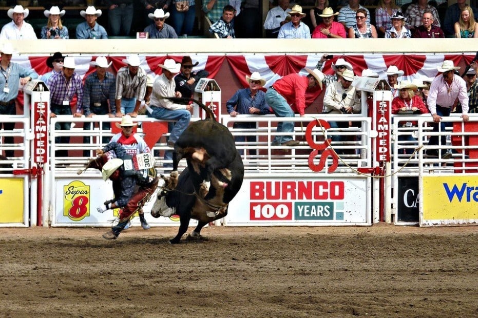 Calgary Stampede