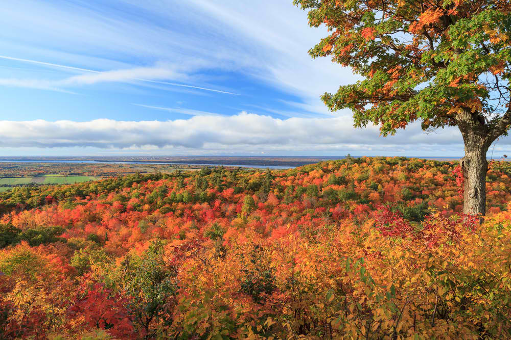 Gatineau Park