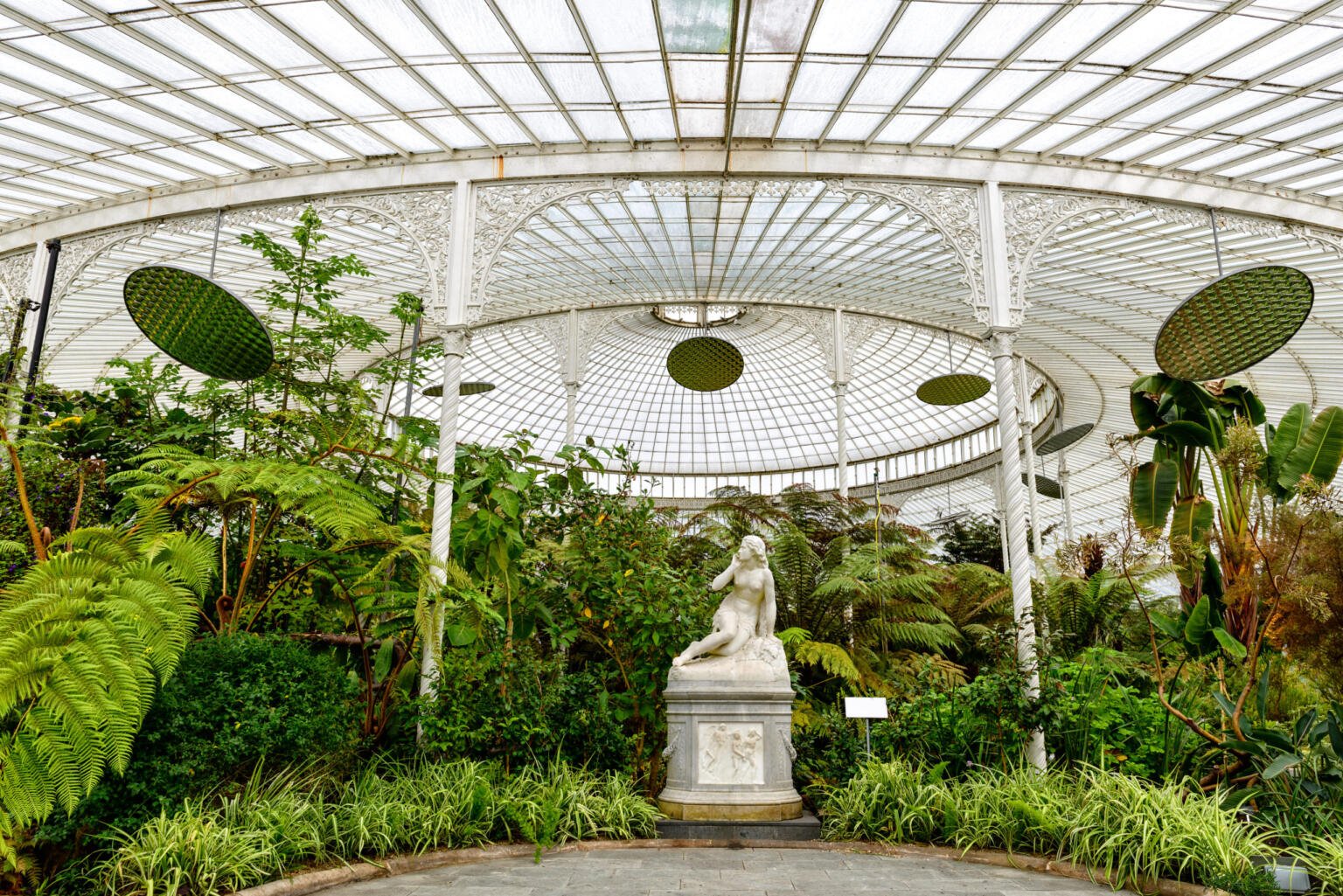 Glasgow Botanic Gardens