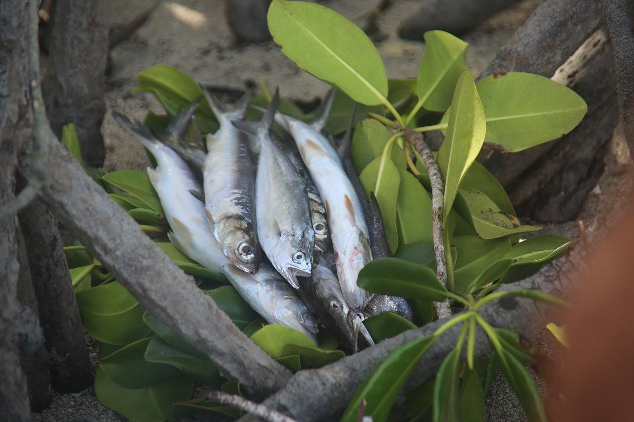 Is the food in Papua New Guinea safe