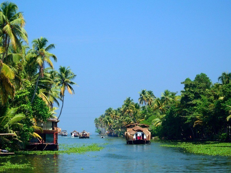 Things to do in Kerala