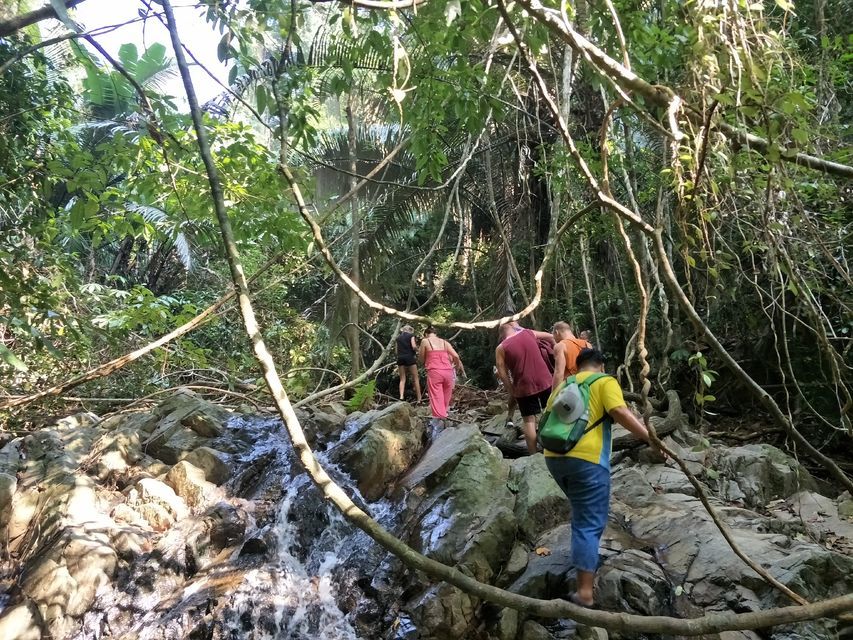 Khao Phra Thaeo National Park