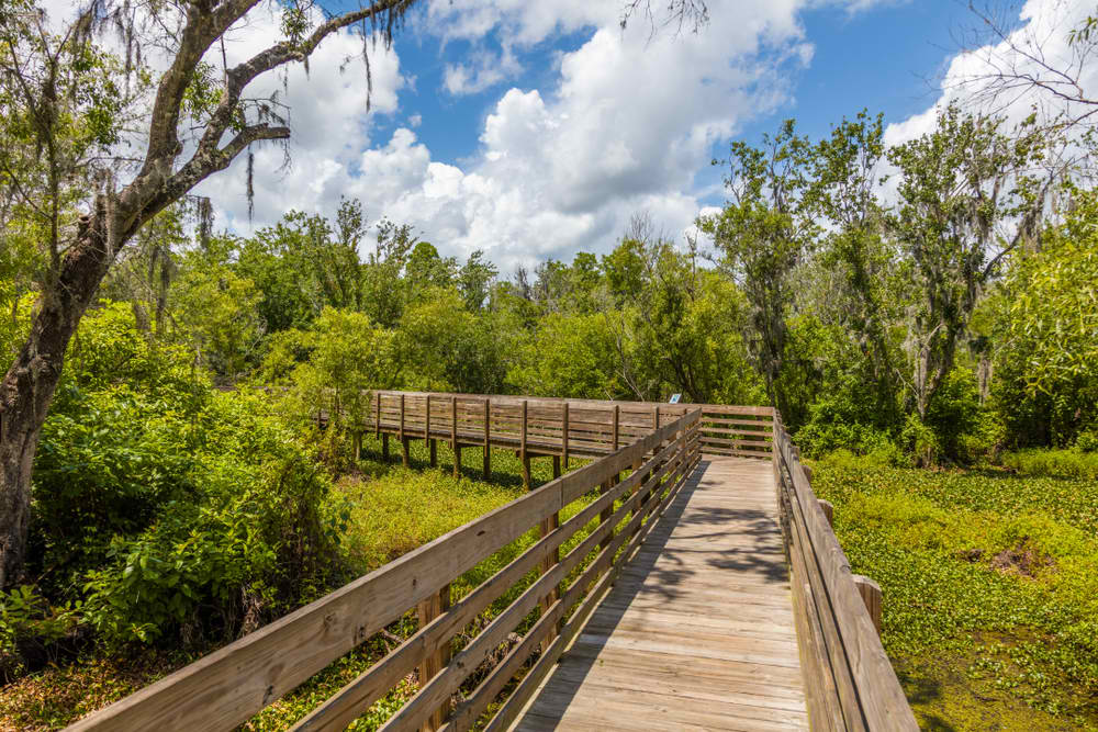 Lettuce Lake Regional Park