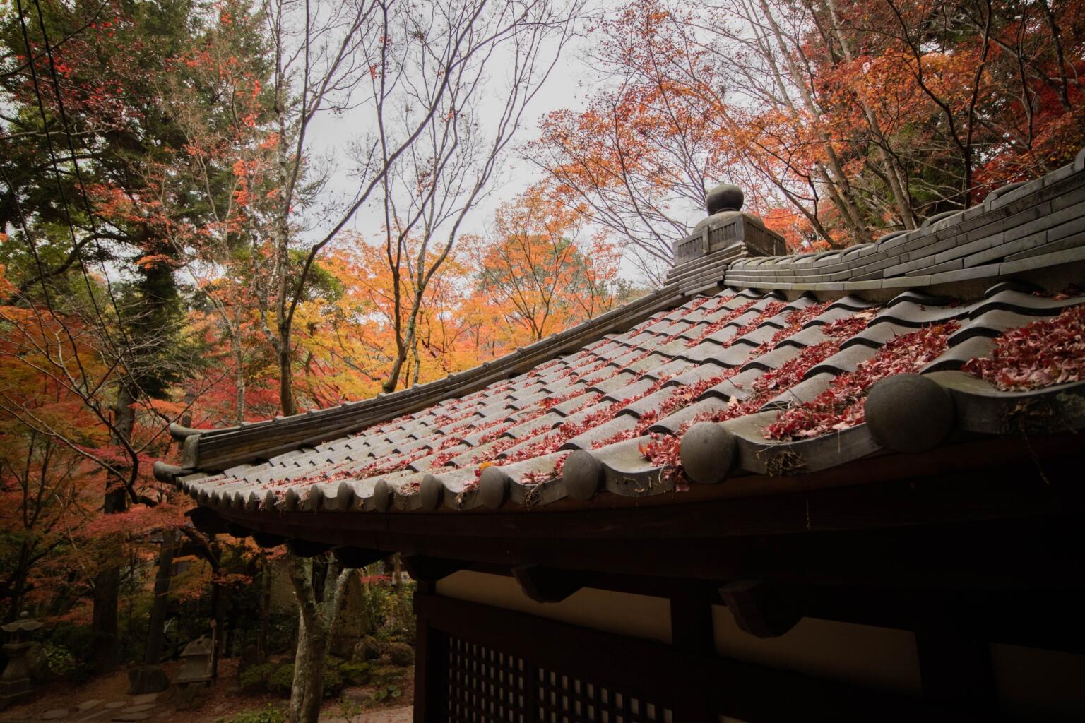 Mitaki-Dera Temple