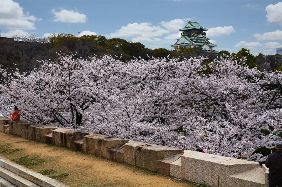 Welcome to Osaka: Private Tour with a Local Host