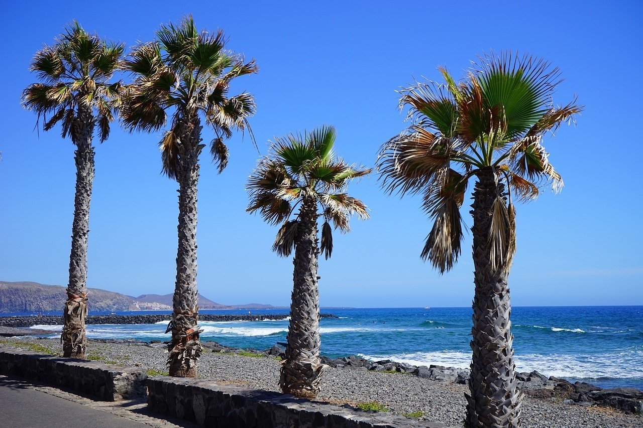 Playa de las Americas