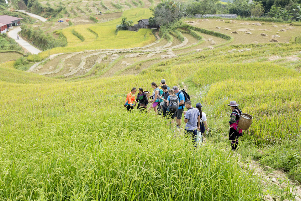 Sa Pa Homestay 2-Day Tour by Sleeper Bus