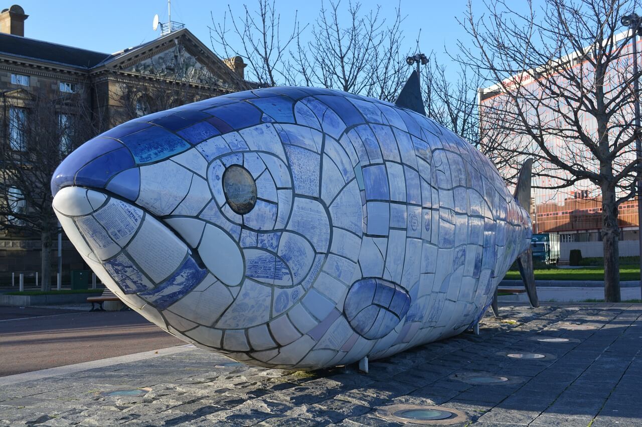 Big Fish, Belfast