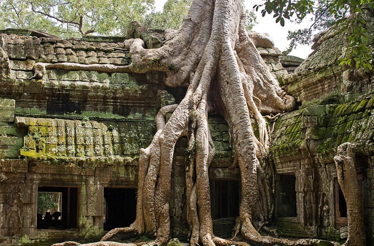 Ta Prohm