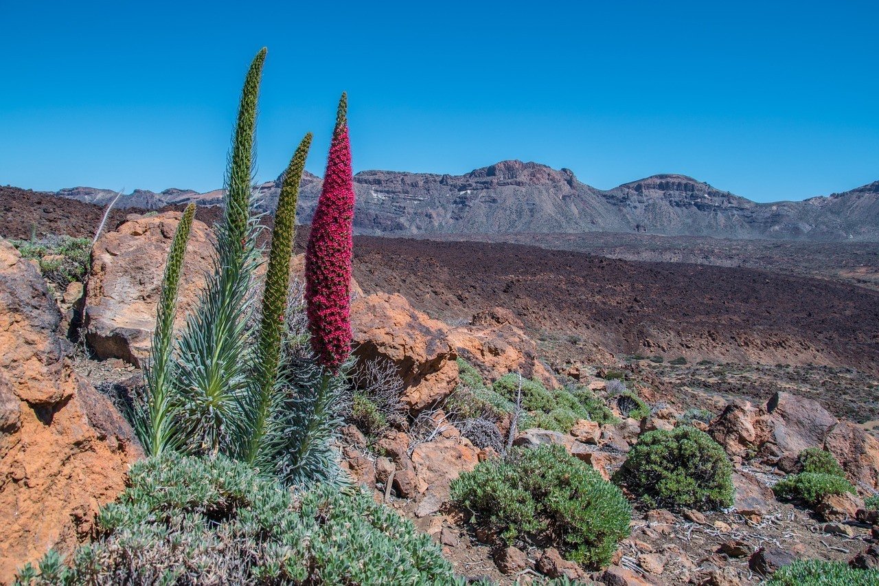 Teide National Park