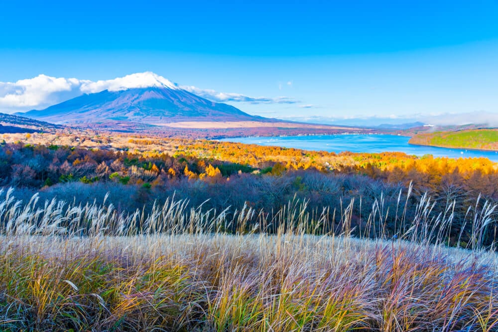 Yamanakako, Mt Fuji