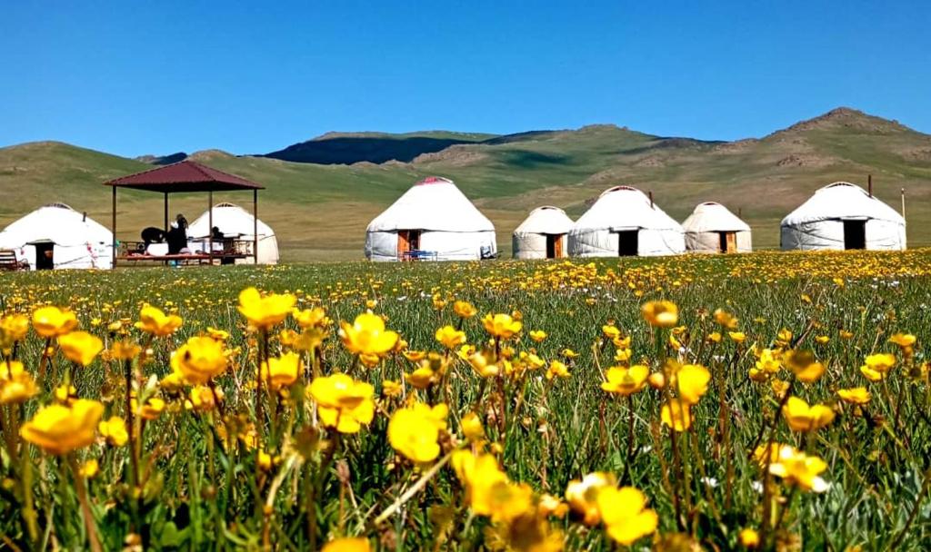 Yurt Camp Rahat in Song Kul.