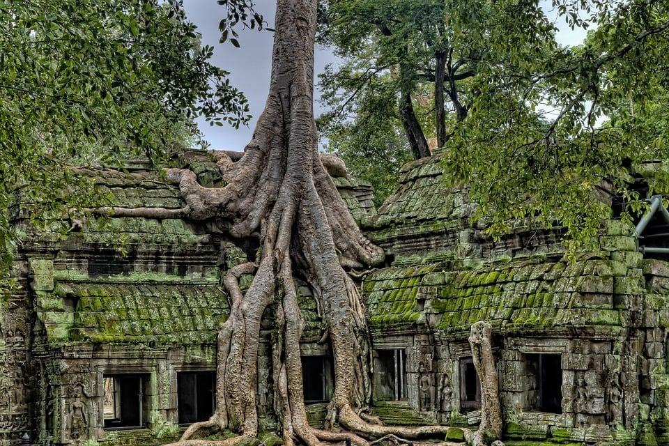 Ta Promh, Angkor Wat - a famous temple site in Cambodia