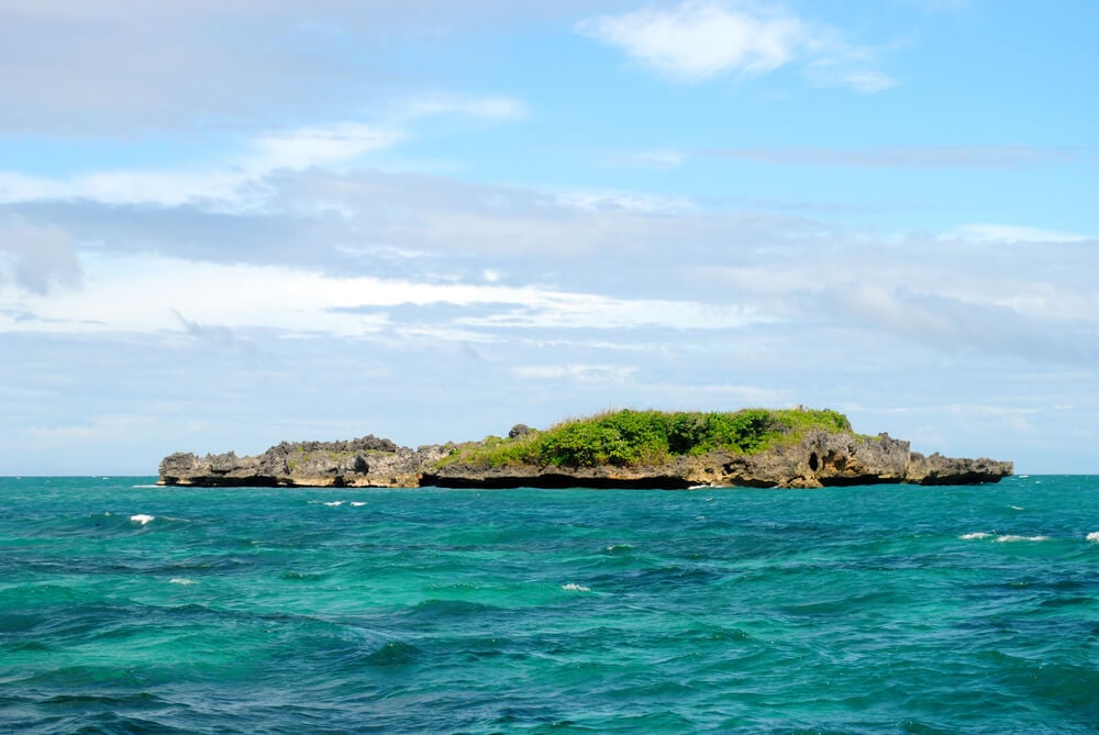 Crocodile Island