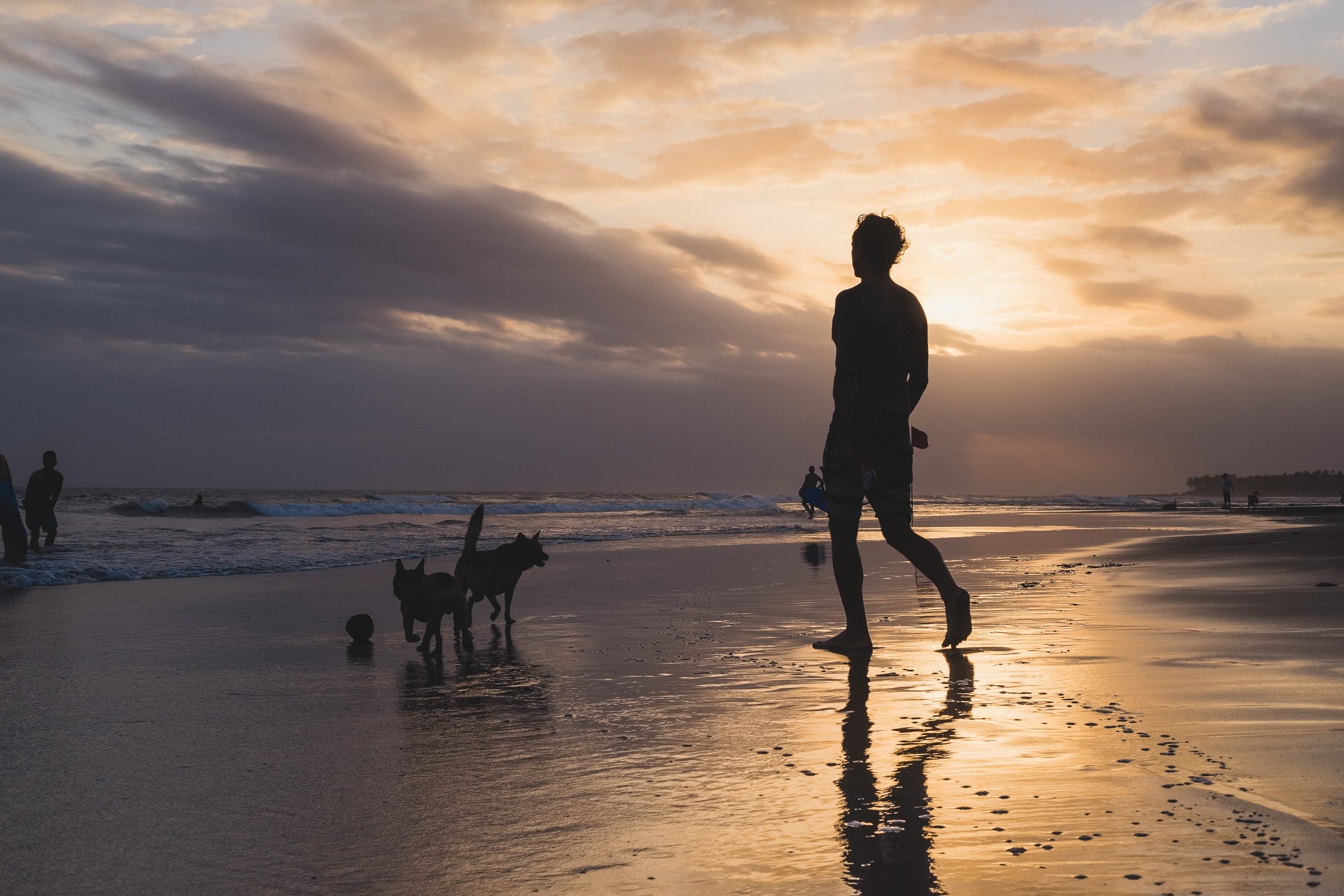 walking the dog at the end of day in canggu