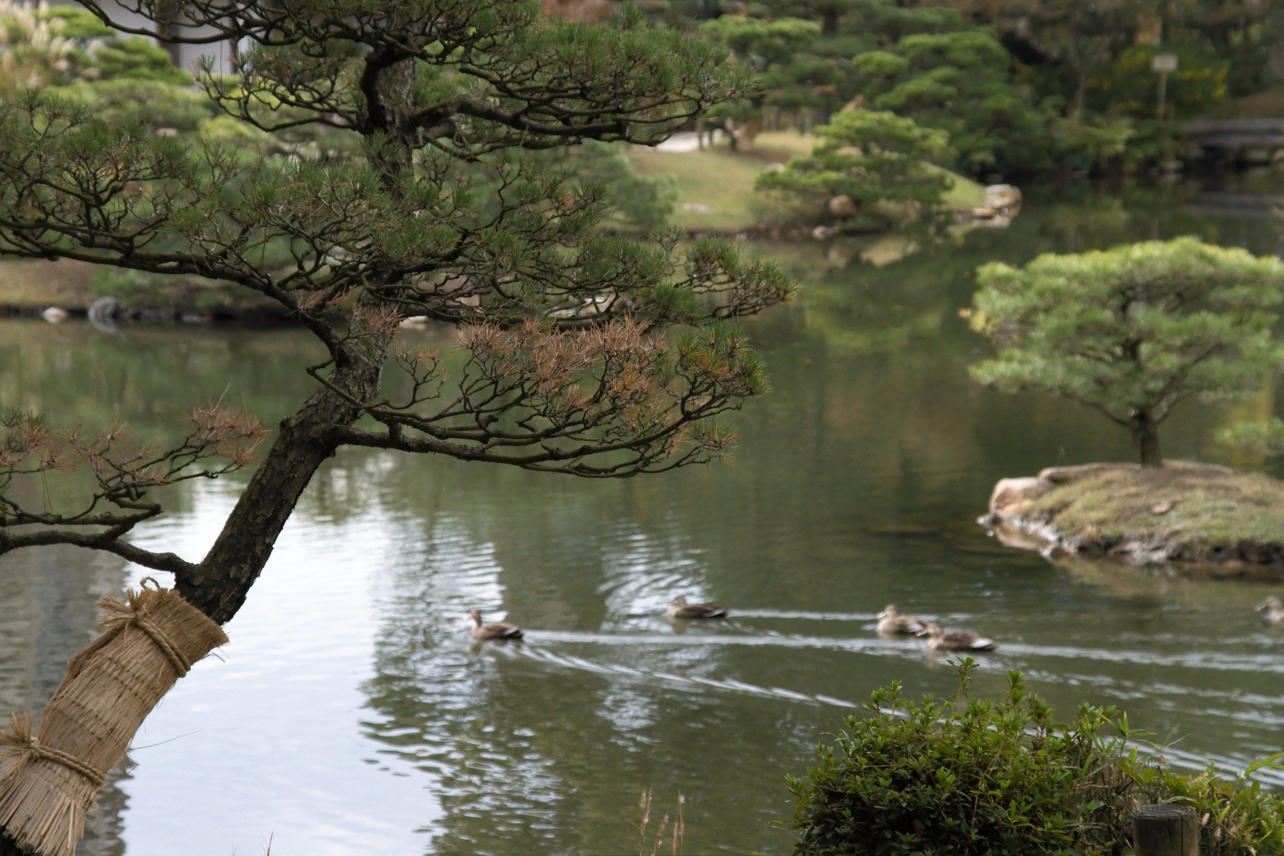 Shukkeien Garden