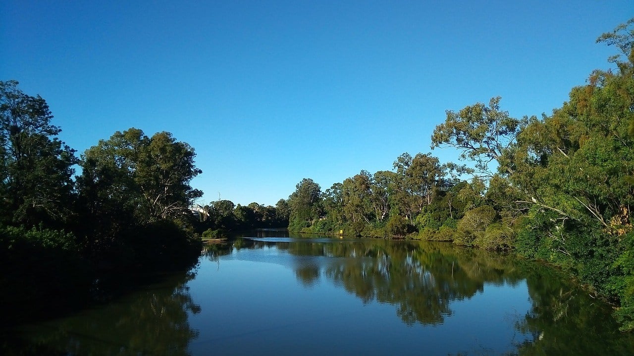 Go for a Hike in Nerang National Park