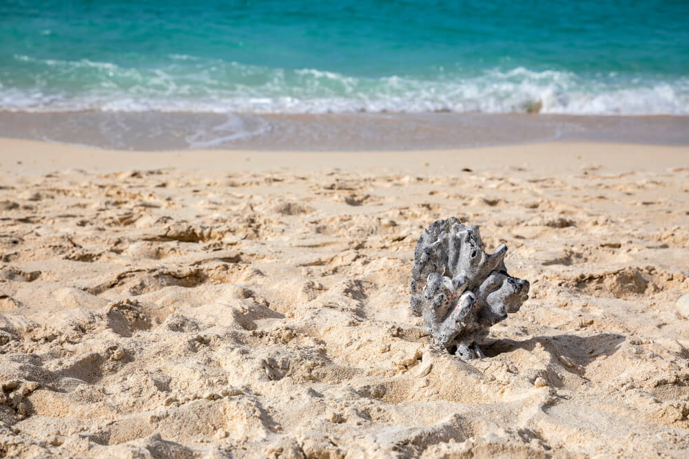 Puka Shell Beach