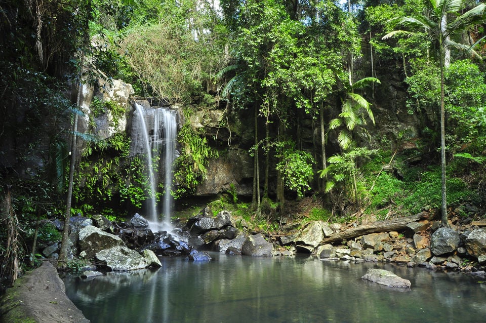 World Heritage Rainforest and Wilderness Tour