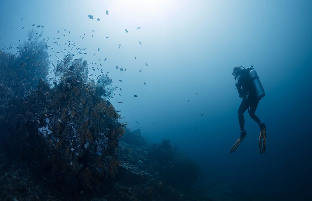 scuba dive centers in amed