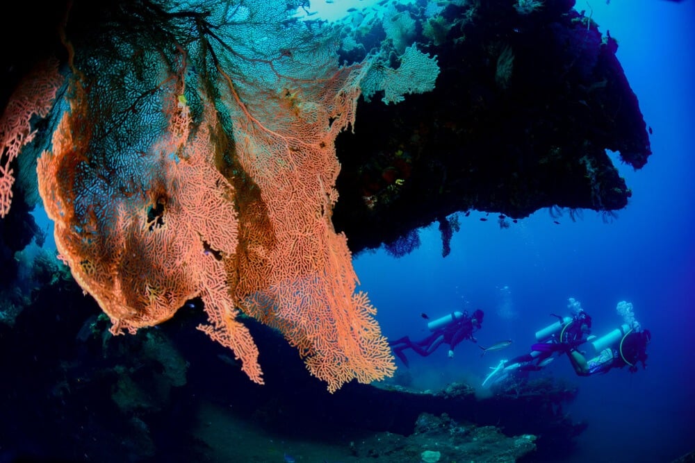 uss liberty dive site amed 