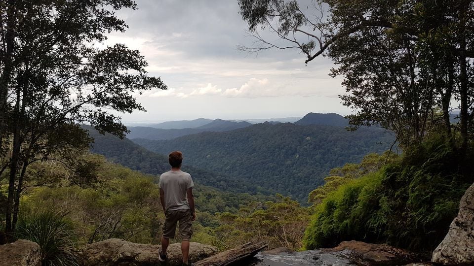 Springbrook Mount Tamborine National Park Small Group Tour