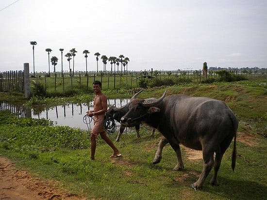 Back to Basics: Village Life Tour from Siem Reap