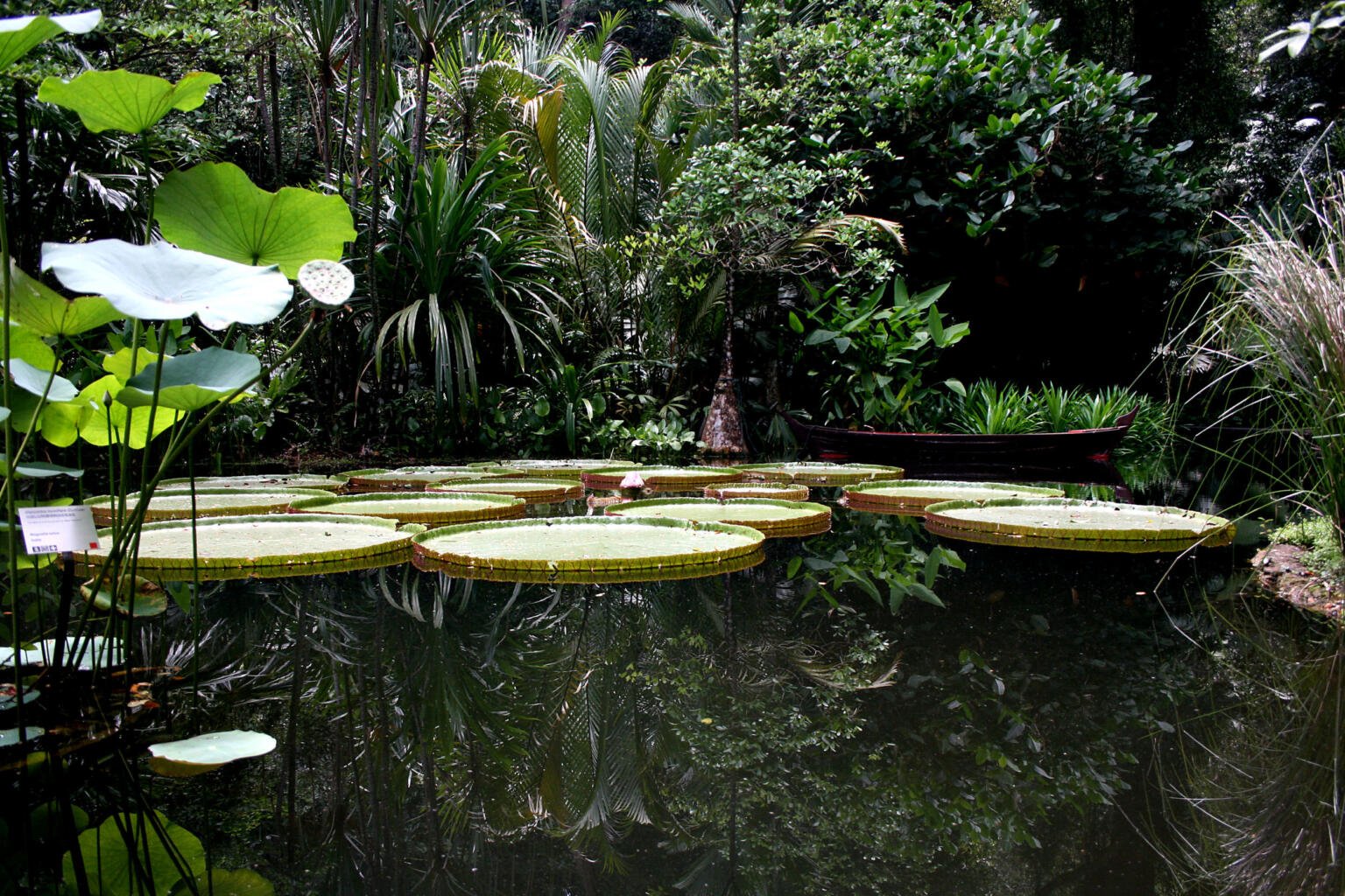 Tropical Spice Garden