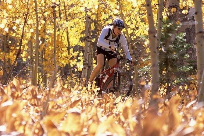 Lake Shikotsu Mountain Bike Tour from Sapporo