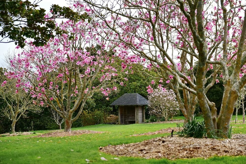 Spend Time in the Auckland Botanic Gardens