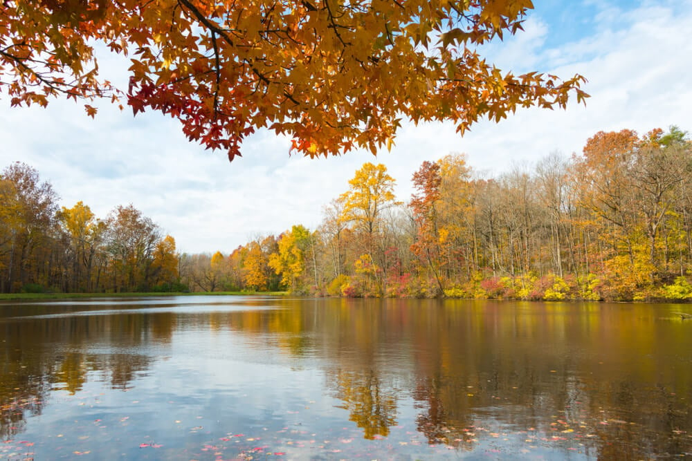 Peaceful scenery at the Eagle Creek Park in Indianapolis.