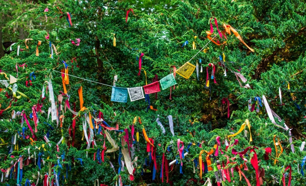 Hang cloth at Munlochy Clootie Well in Inverness.