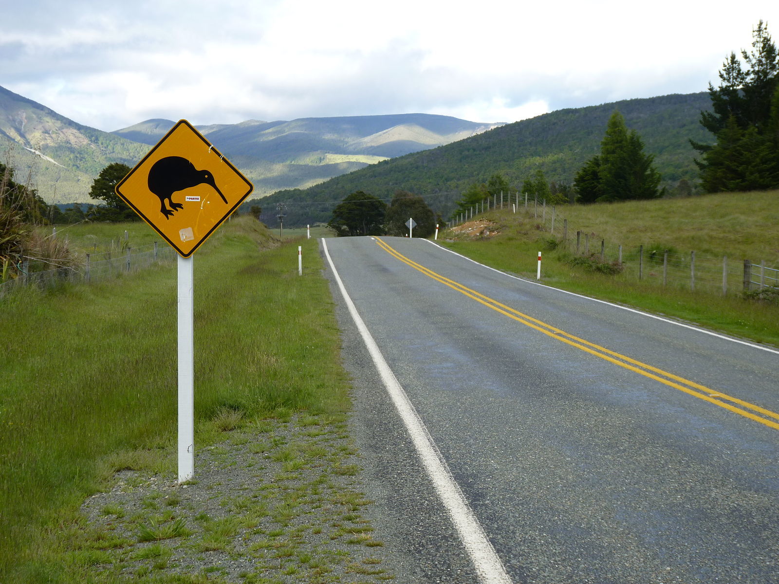 Stewart Island is the best place to see kiwis in New Zealand