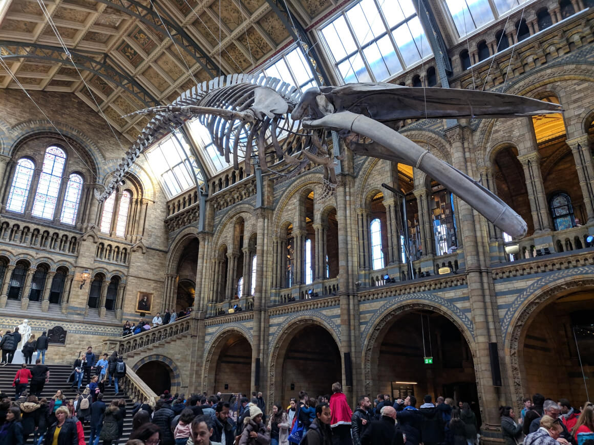 London Natural History Museum