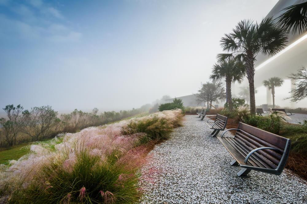 Mount Pleasant Memorial Waterfront Park