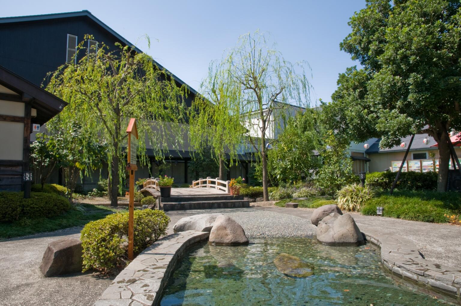 Onsen (Hot Spring) Experience