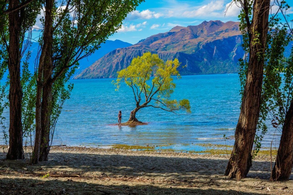 Pembroke Park, Wanaka