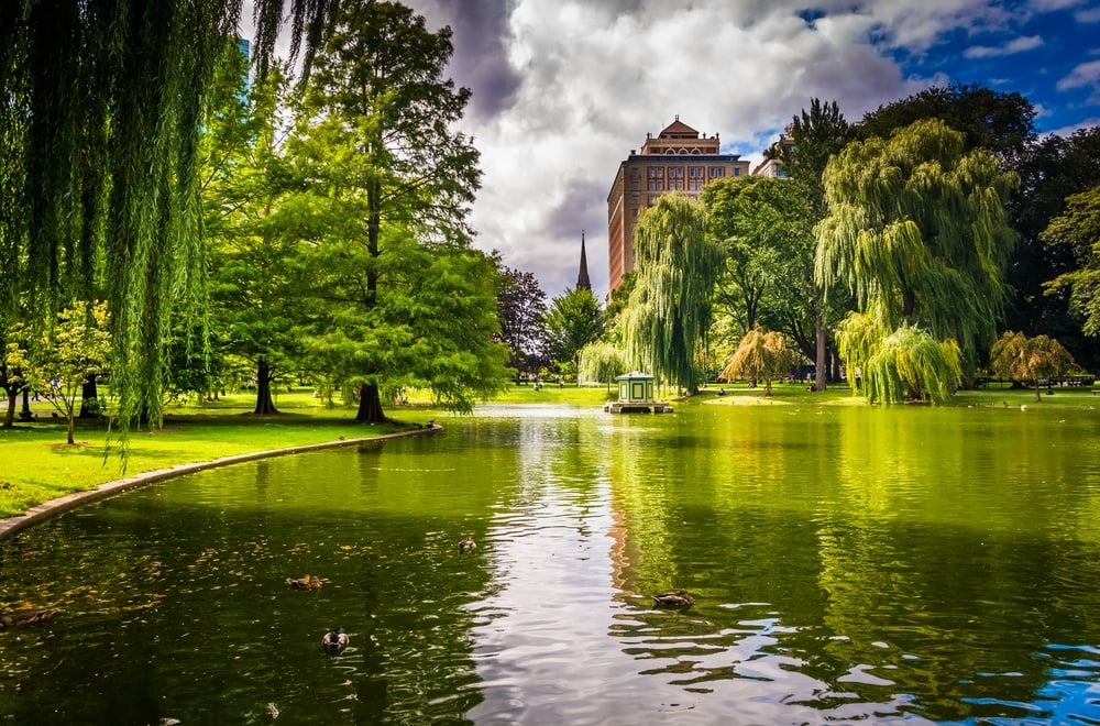 Boston Public Garden