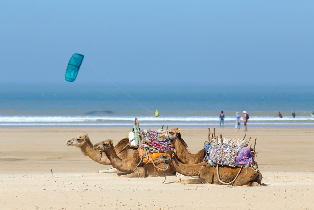 Essaouira Beach