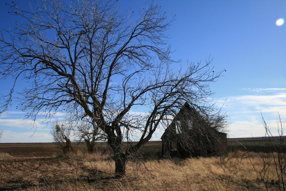 Fredericksburg