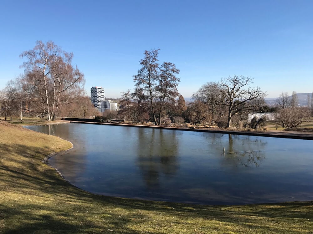 Picnic at the Killesberg Park